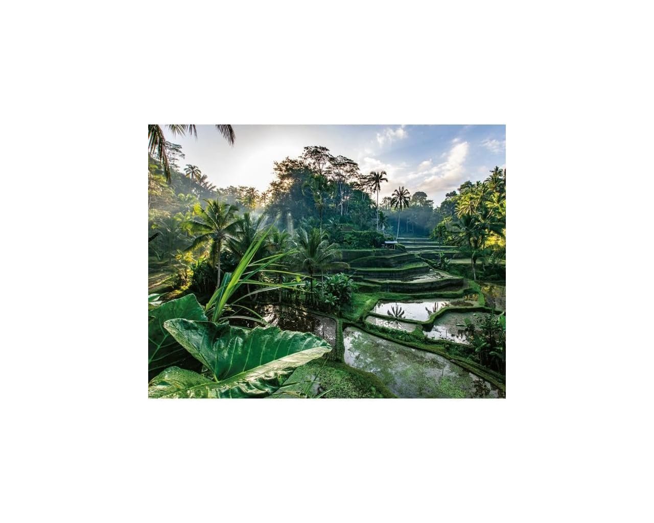 Пазл Nathan Escape Collection In the Heart of Bali 12001518 2000 деталей, фото №1