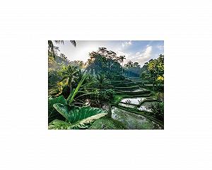 Пазл Nathan Escape Collection In the Heart of Bali 12001518 2000 деталей - Фото 1