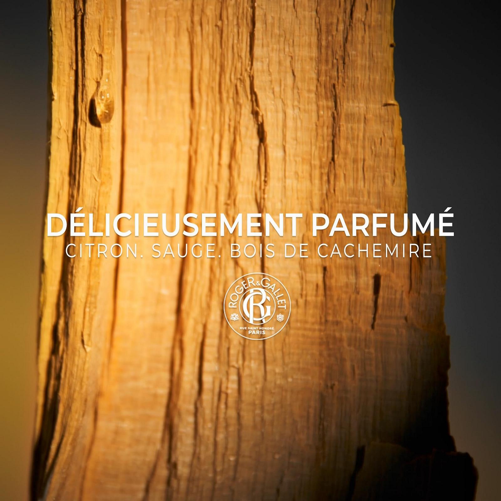 Гель для душа ROGER & GALLET Cologne Twist 200 мл, фото №3 Гель для душа ROGER & GALLET Cologne Twist 200 мл, фото №3