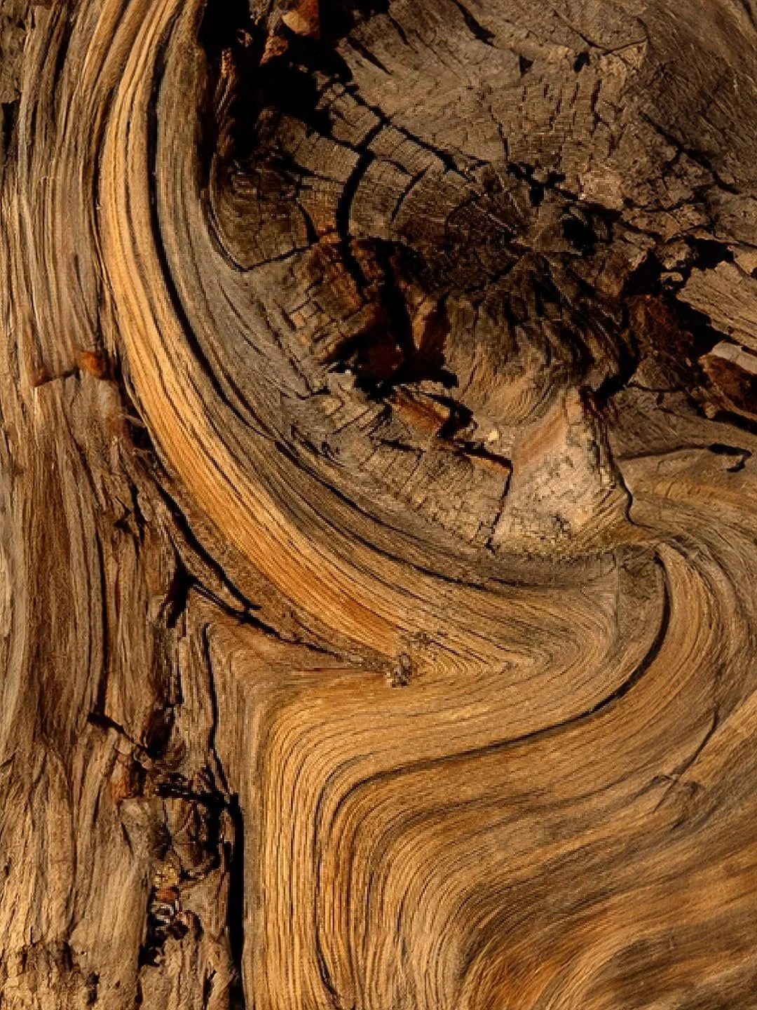 Парфумована вода Adopt The Noir 30 мл, фото №5