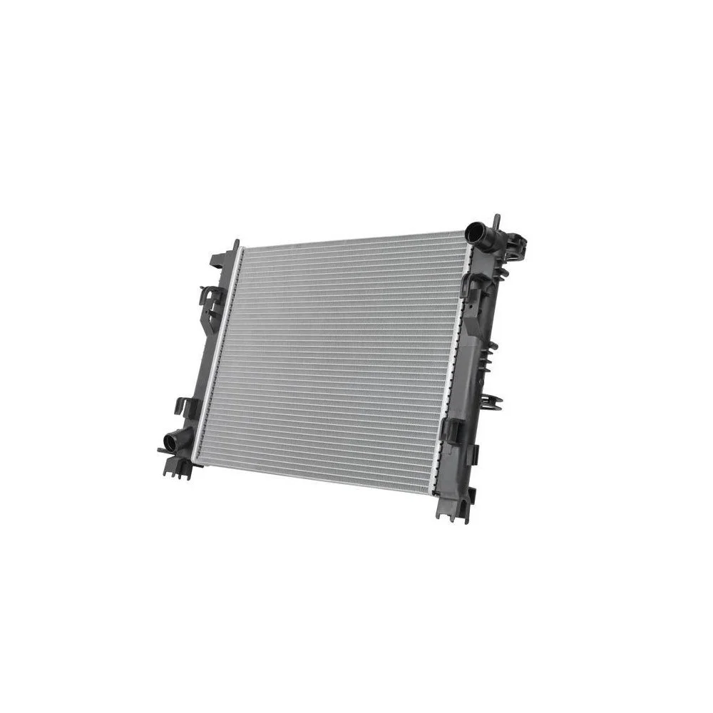 Радиатор, охлаждение двигателя HELLA 8MK 366 301-391 для RENAULT DACIA, фото №1