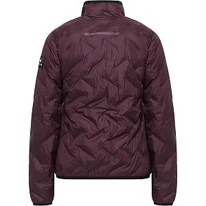 Куртка Witeblaze Avala Padded женская synthetic.ua - Фото 1