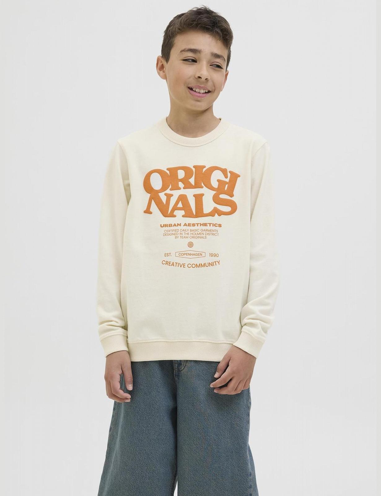 Світшот JACK & JONES Jortavira Crew Neck Oc25 Jnr, фото №2