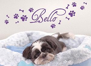 Наклейка на стіну Grandora W806 Ім'я + Собача лапа Кістка 50 x 15 см Чорна synthetic.ua - Фото 1