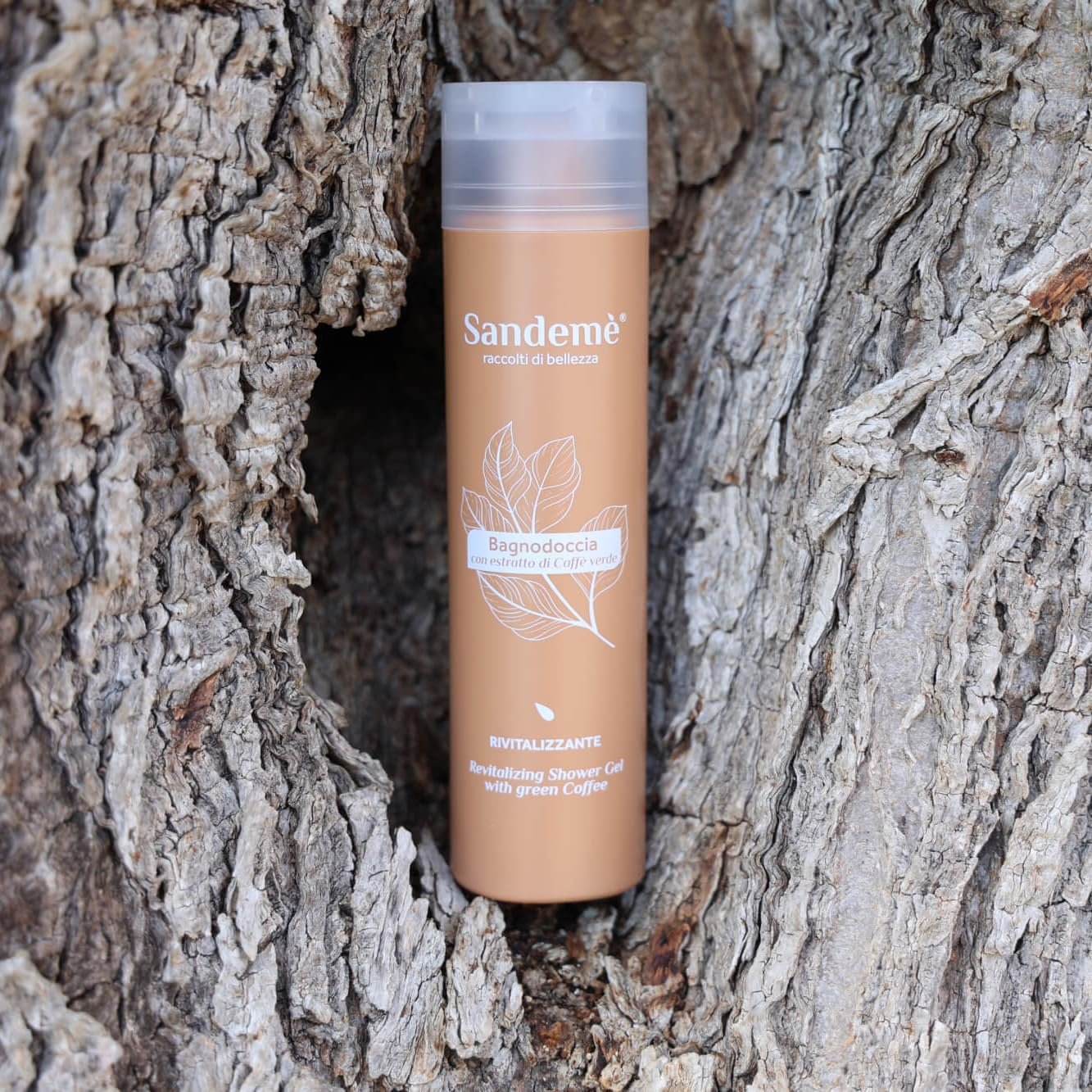 Гель для душу Sandemè з екстрактом зеленої кави 250 ml пляшка, фото №3 Гель для душу Sandemè з екстрактом зеленої кави 250 ml пляшка, фото №3