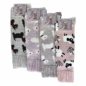 Шкарпетки Sock Snob 4 пари Жіночі synthetic.ua - Фото 1