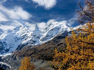 Пазл CALVENDO Golden October in the Engadine 1000 элементов 64 x 48 см фотопазл Армин Матис цена на synthetic.ua - Фото 1 Пазл CALVENDO Golden October in the Engadine 1000 элементов 64 x 48 см фотопазл Армин Матис synthetic.ua - Фото 1