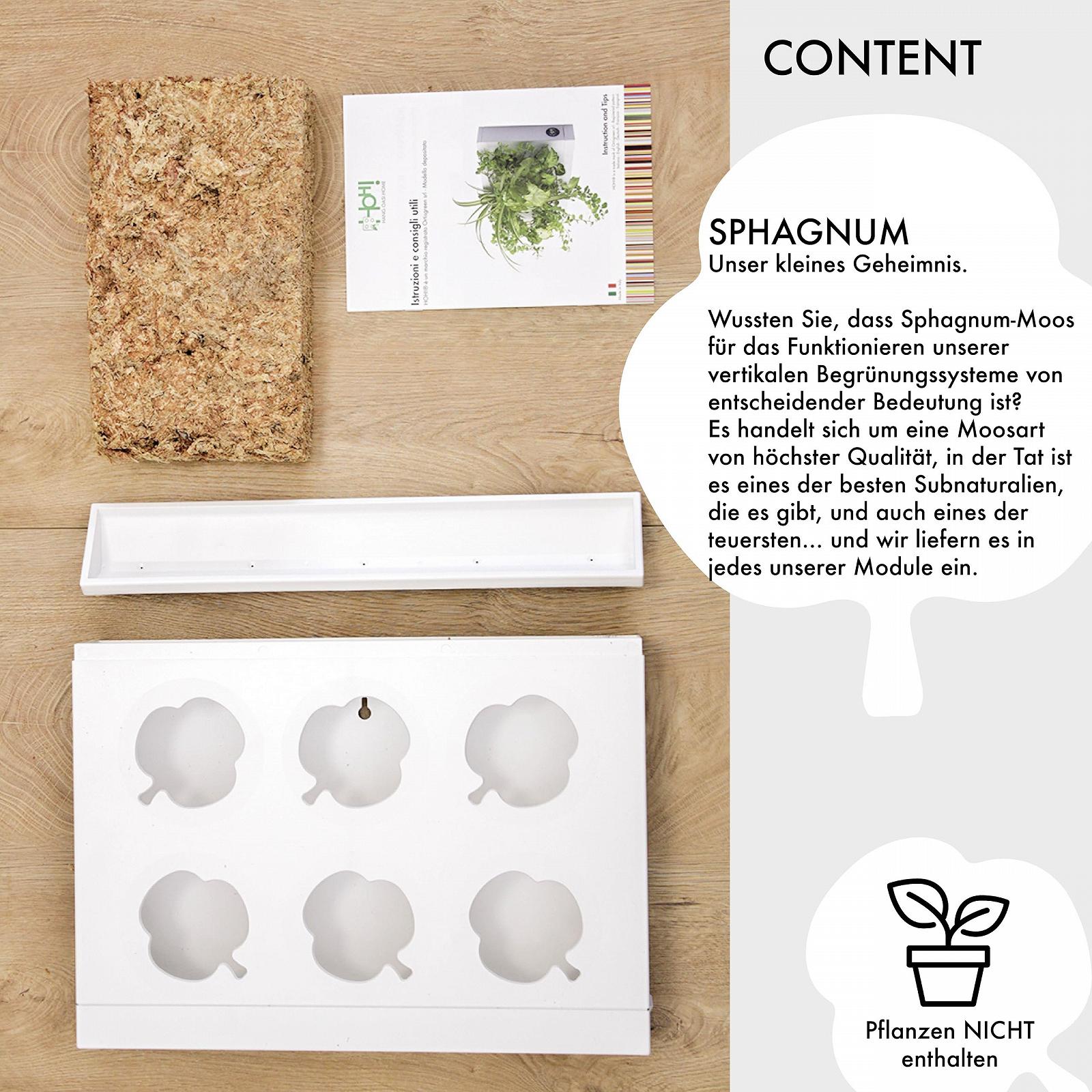 Настінне кашпо Ortisgreen HOH дизайнерське пластикове з мохом Біле, фото №5 Настінне кашпо Ortisgreen HOH дизайнерське пластикове з мохом Біле, фото №5