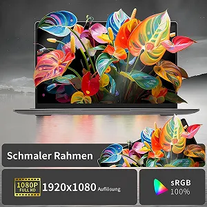 Ноутбук 14.1" Zyphionix UDKED Intel Celeron N4120 RAM 8GB SSD 256GB Windows 11 synthetic.ua - Фото 1