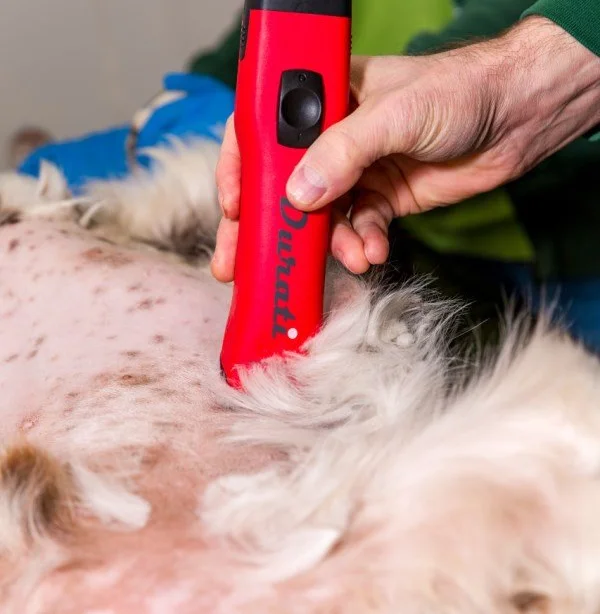 Бездротова машинка для стрижки Kerbl GT436-SR Червоний, фото №11 Бездротова машинка для стрижки Kerbl GT436-SR Червоний, фото №11