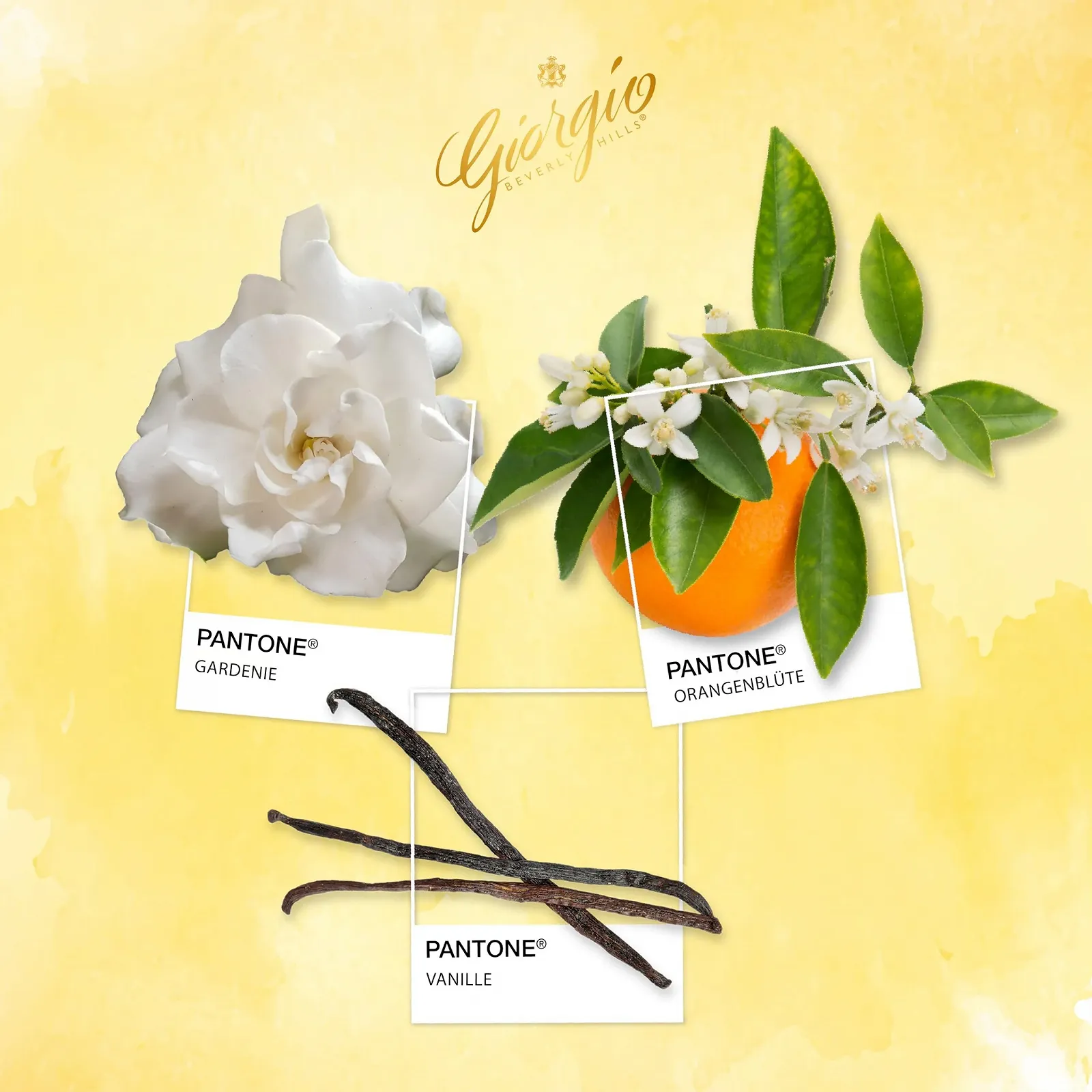 Туалетная вода Giorgio Beverly Hills Giorgio Yellow, фото №6