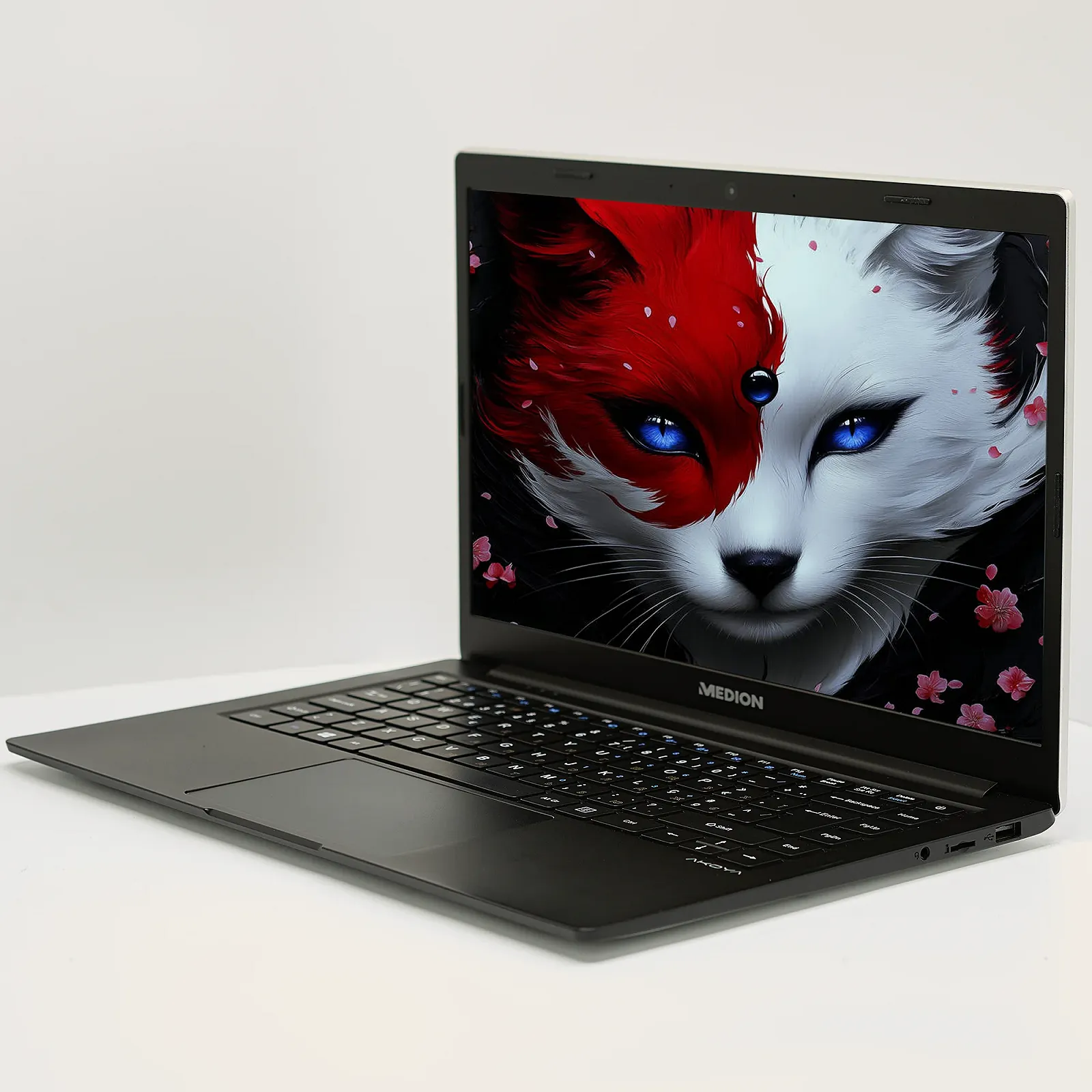 Ультрабук 14" Medion (Lenovo Group) Akoya E4251 Intel RAM 4ГБ SSD 512 ГБ Intel Graphics Метал IPS FullHD Win10 (4828), фото №3 Ультрабук 14" Medion (Lenovo Group) Akoya E4251 Intel RAM 4ГБ SSD 512 ГБ Intel Graphics Метал IPS FullHD Win10 (4828), фото №3