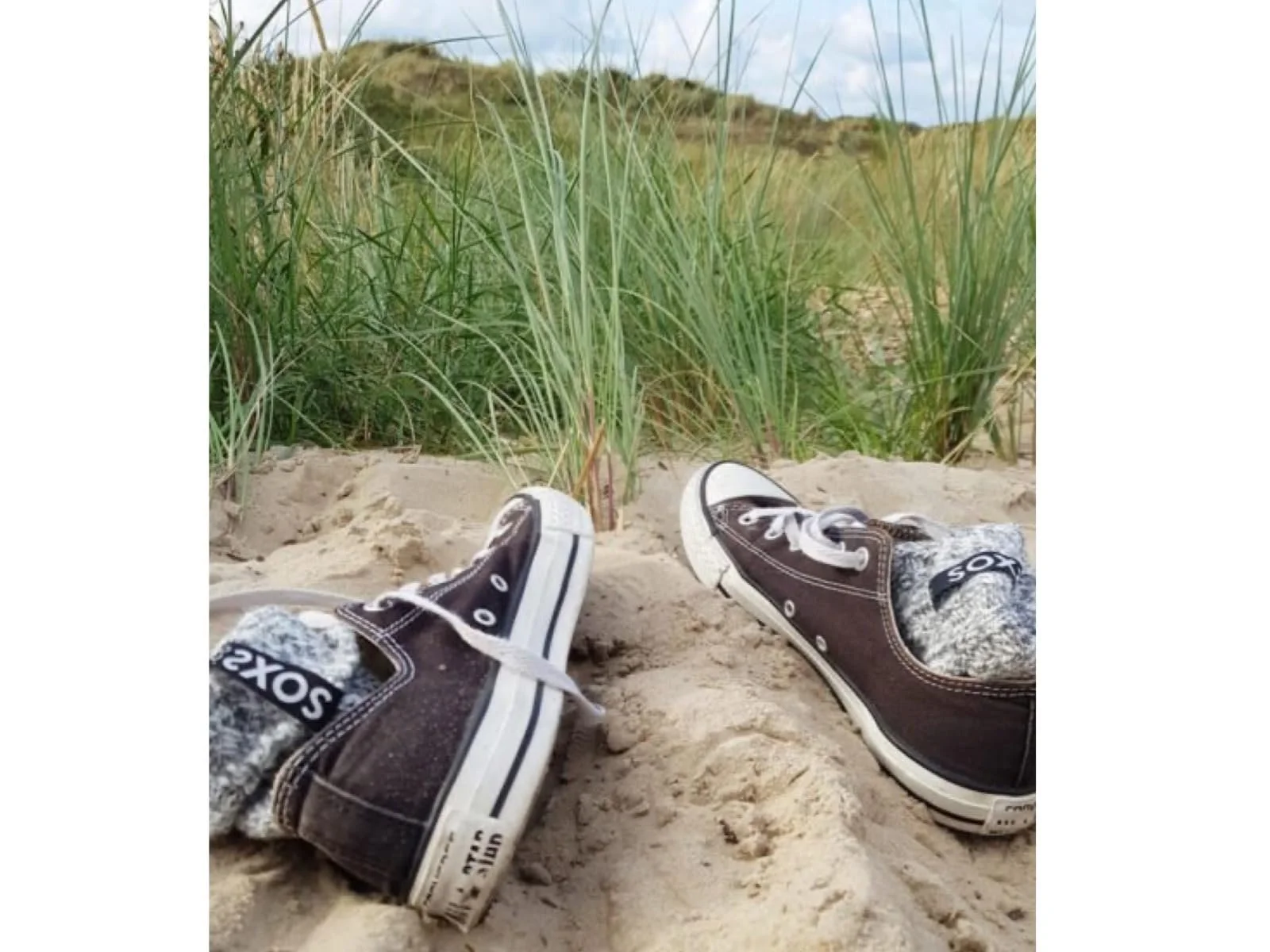 Шкарпетки з овечої вовни LK Trend & Style, фото №3