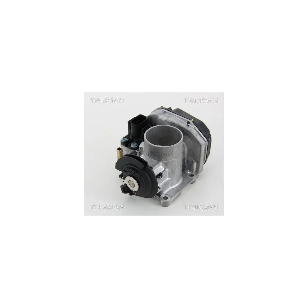 Дроссельная заслонка TRISCAN 8820 29012 для SEAT SKODA VW, фото №1
