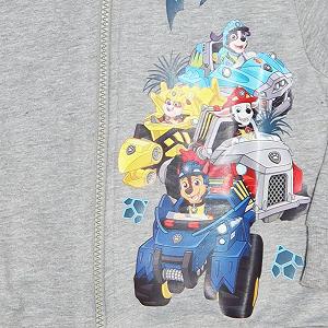 Худи на молнии Paw Patrol для мальчиков - Куртка с капюшоном Dinosaur & Chase - Официально лицензированная - Размер 98-104 - Серый synthetic.ua - Фото 1