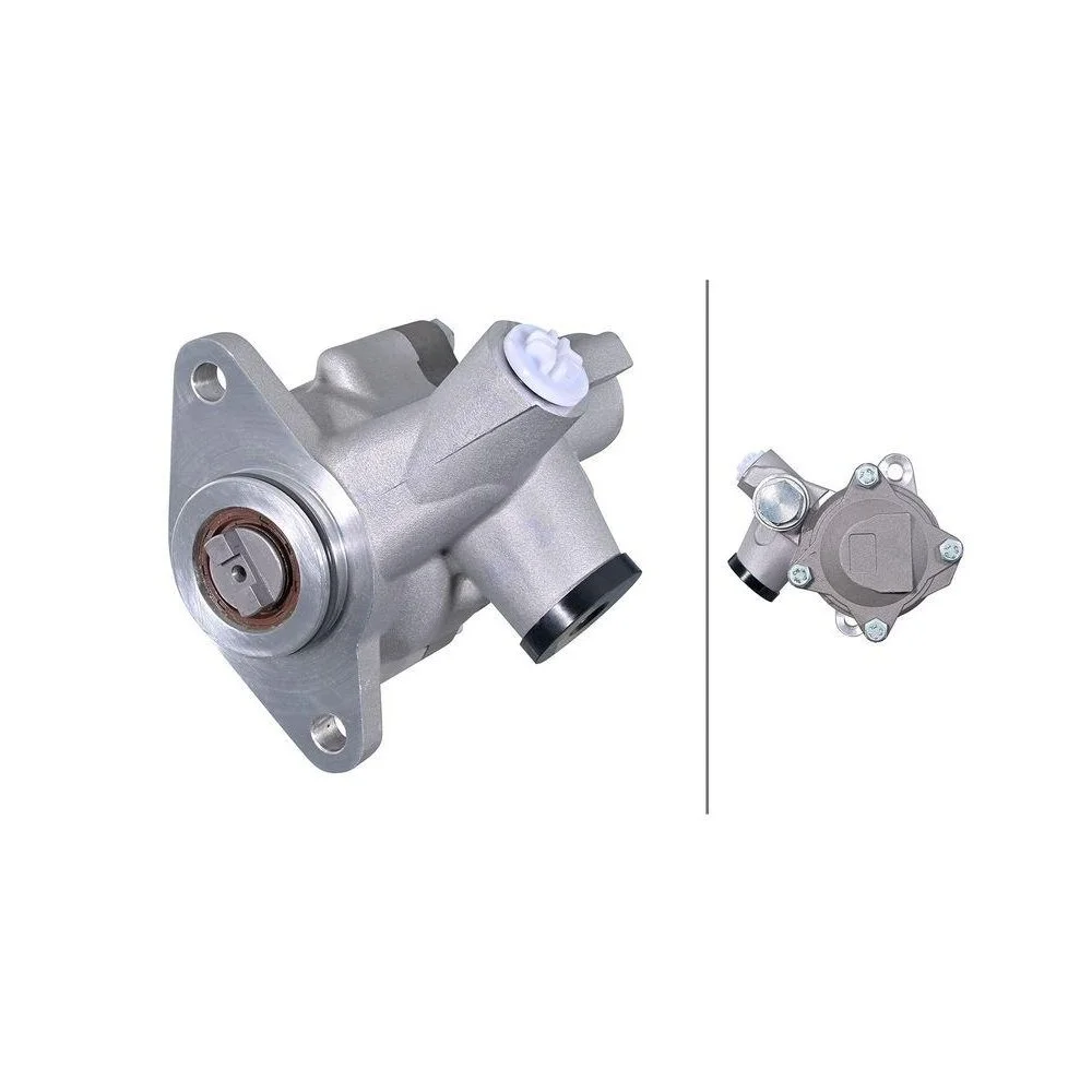 Насос гидроусилителя руля HELLA 8TL 359 004-031 для DAF, фото №1