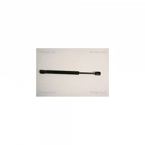 Газова пружина багажника TRISCAN 8710 11211 для BMW - Фото 1