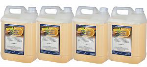 Гель для душу та шампунь Body & Hair Sweet Orange & Cedarwood 2 в 1 5 л набір з 4 шт. - Фото 1