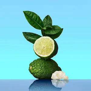 Увлажняющее средство для кожи Calvin Klein CK ONE 250 мл (2 шт. в упаковке) - Фото 1