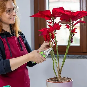 Секатор садовий 4-в-1 зі змінними головками Сталь та Поліпропілен synthetic.ua - Фото 1