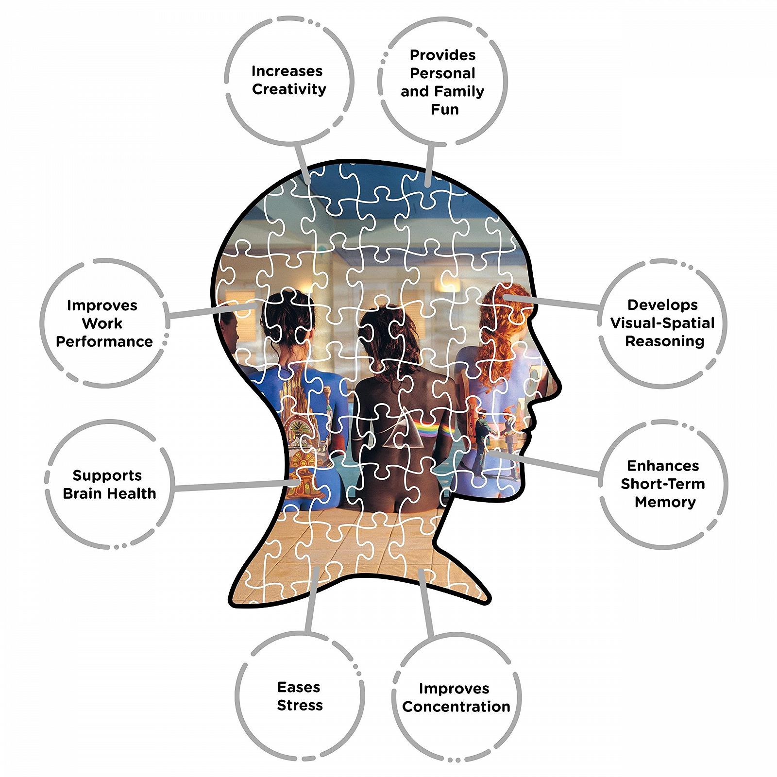 Пазл NMR Distribution Pink Floyd Back Art 1000 деталей, фото №3 Пазл NMR Distribution Pink Floyd Back Art 1000 деталей, фото №3