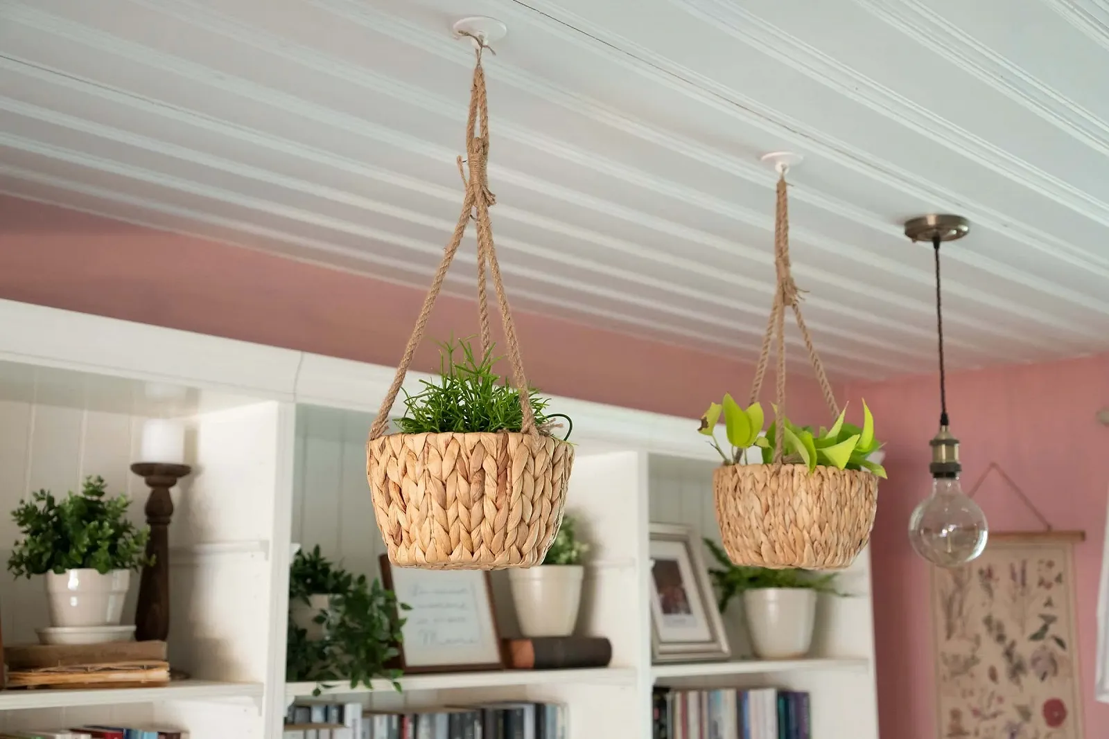 Підвісний кошик Decorasian Водяний гіацинт 22 см, фото №3