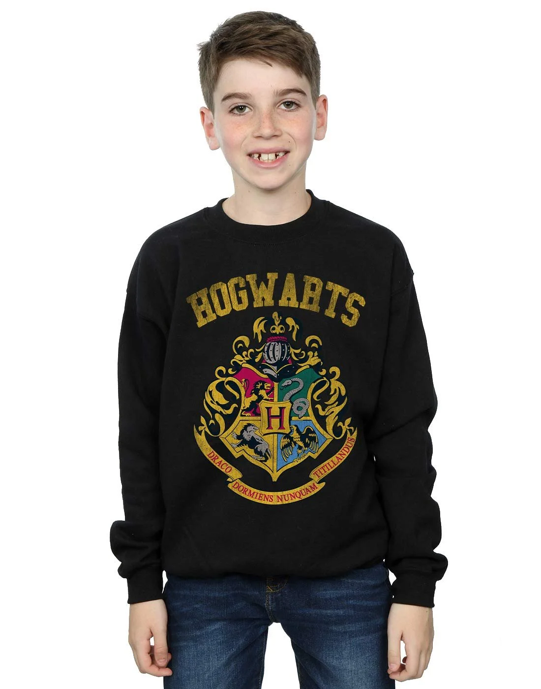 Толстовка Гаррі Поттер для хлопчика з наповненим гербом у стилі університетської команди, фото №1