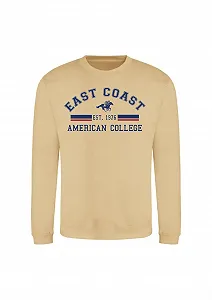 Купити Толстовка з капюшоном AMERICAN COLLEGE USA Unisex Дитяча для хлопчиків та дівчаток - Фото 1 Толстовка з капюшоном AMERICAN COLLEGE USA Unisex Дитяча для хлопчиків та дівчаток - Фото 1