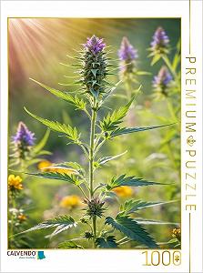 Пазл CALVENDO Marijuana Blossom 1000 деталей 48 x 64 см - Фото 1