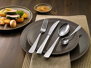 Набір столових приборів ZWILLING Greenwich, 68 предметів, на 12 персон, нержавіюча сталь synthetic.ua - Фото 1