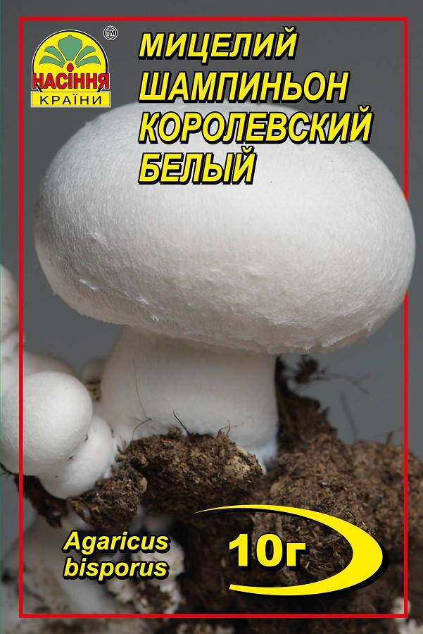 Шампиньон королевский белый 10 г, фото №1