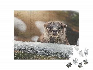 Пазл puzzleYOU Otter, Fish & Aquatic Animals Puzzle Collection Портрет выдры 200 деталей цена на synthetic.ua - Фото 1 Пазл puzzleYOU Otter, Fish & Aquatic Animals Puzzle Collection Портрет выдры 200 деталей synthetic.ua - Фото 1