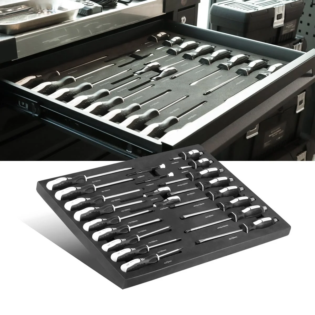 Набір викруток STAHLWERK 21 предмет PH та SL зі спіненим ложементом для інструментального візка, фото №9