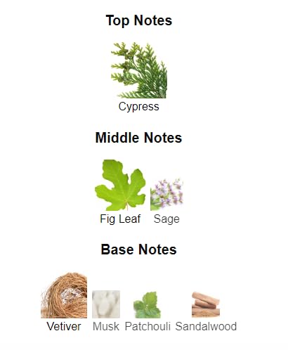 Парфюмированная вода Hugh Parsons Savile Row 100 мл, фото №5 Парфюмированная вода Hugh Parsons Savile Row 100 мл, фото №5