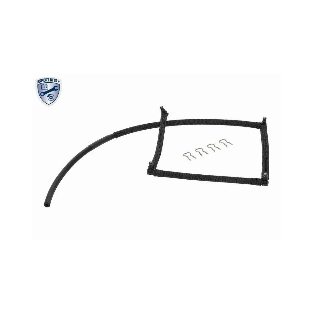 Шланг обратки топлива VAICO EXPERT KITS + V22-0809 для CITROËN PEUGEOT, фото №1 Шланг обратки топлива VAICO EXPERT KITS + V22-0809 для CITROËN PEUGEOT, фото №1