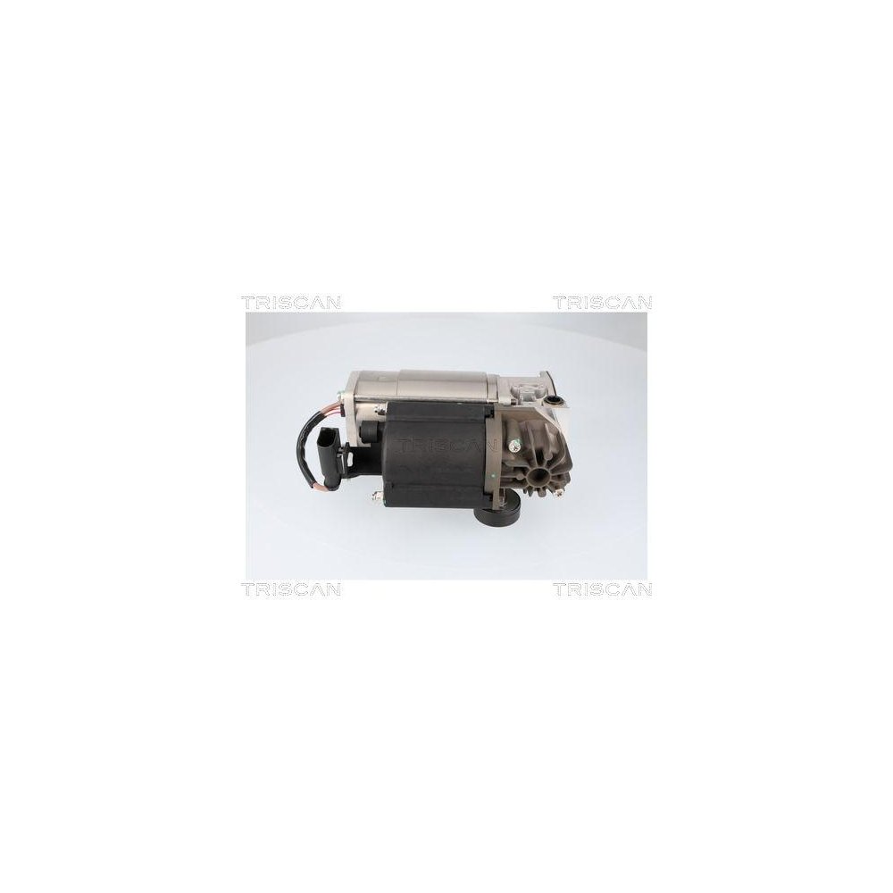 Компрессор, пневмосистема TRISCAN 8725 15001 IVECO, фото №1