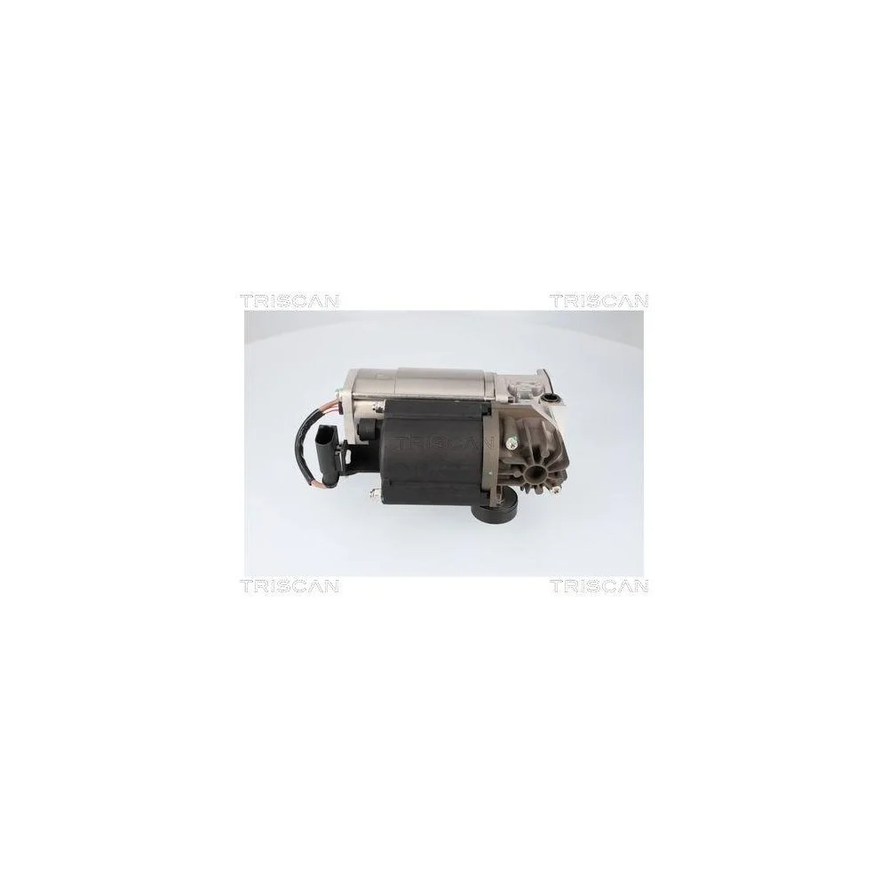 Компрессор, пневмосистема TRISCAN 8725 15001 IVECO, фото №1