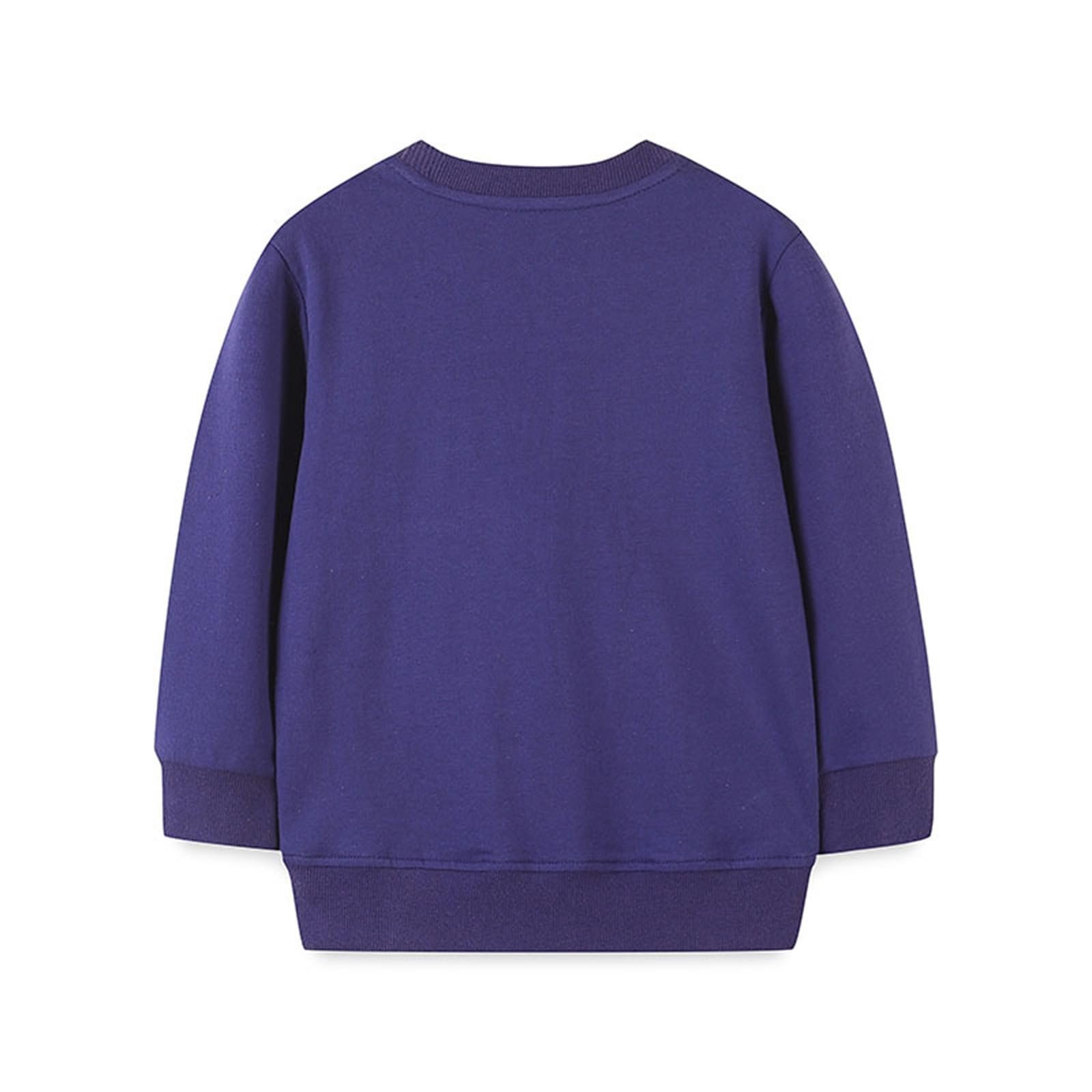 Пуловер Generisch С принтом совы, детский вид, повседневная рубашка для мальчиков и девочек на каждый день, удобного кроя и с длинными рукавами, фото №2