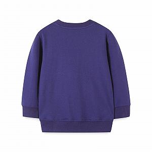 Пуловер Generisch С принтом совы, детский вид, повседневная рубашка для мальчиков и девочек на каждый день, удобного кроя и с длинными рукавами synthetic.ua - Фото 1