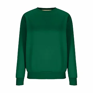 Женский Свитшот 2024, утепленный, с круглым вырезом synthetic.ua - Фото 1