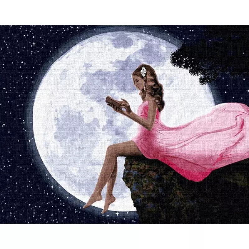 KHO4787 Картина-розцвітання за номерами Читання під місяцем Без коробки, фото №1
