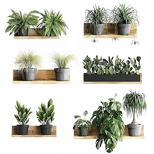 Наклейки на стіну Plants 4 шт. Самоклеючі Зелене листя Кактус - Фото 1