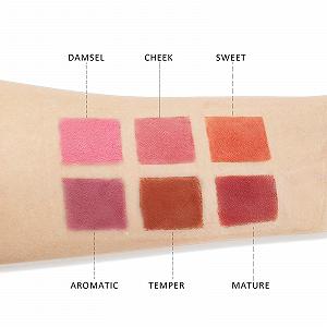 Палетка Conchita Blush Powder 6 Farben 06# synthetic.ua - Фото 1