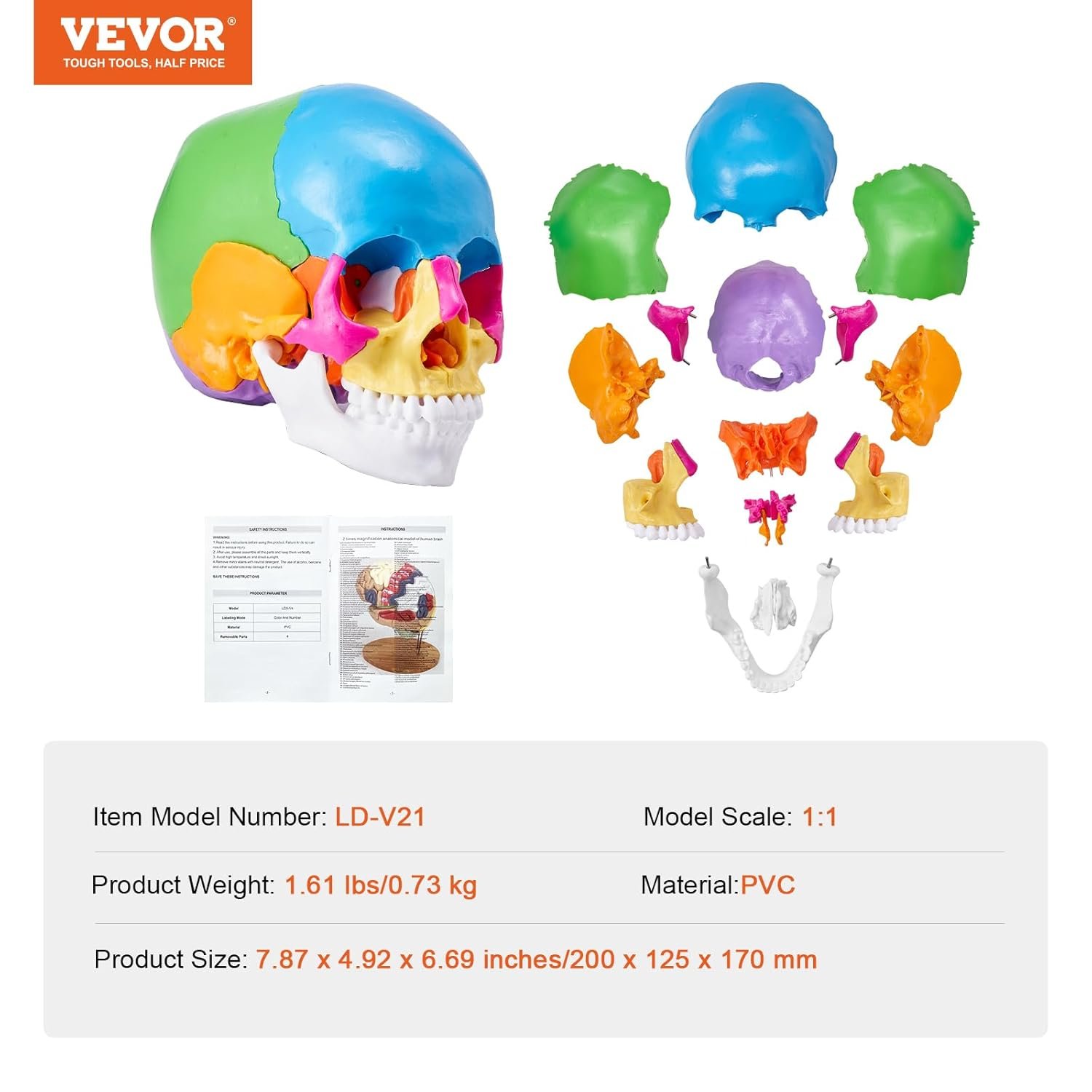 Модель черепа черепа VEVOR MD-V21 / 22 частини / Різнокольоровий, фото №8 Модель черепа черепа VEVOR MD-V21 / 22 частини / Різнокольоровий, фото №8