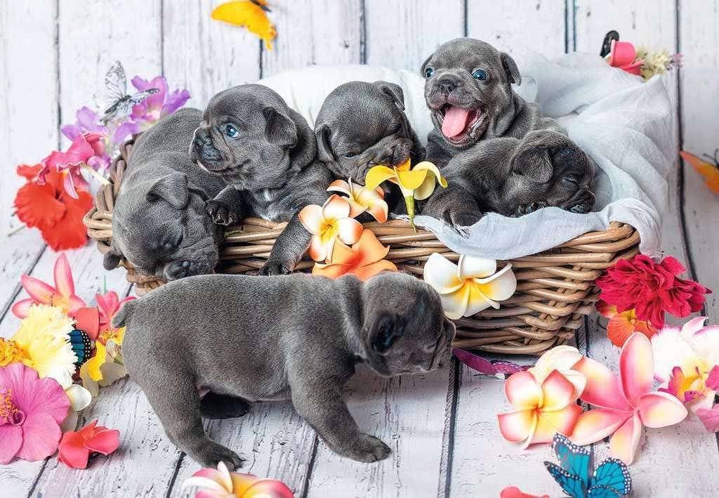 Детский пазл Ravensburger 05636 Маленькие меховые шарики 2 x 12 деталей, фото №3