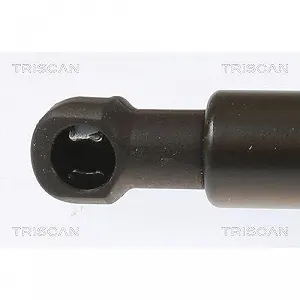 Газовая пружина багажника TRISCAN 8710 28251 для CITROËN, задняя левая synthetic.ua - Фото 1