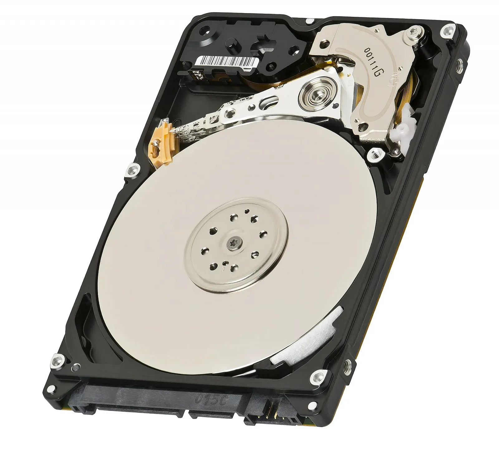 Portable HDD WD 500GB SATA Blue OEM, фото №1