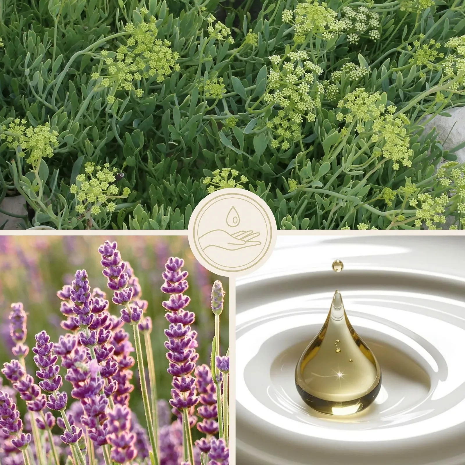 Лосьйон для тіла frei ">6l Care 150 мл, фото №4