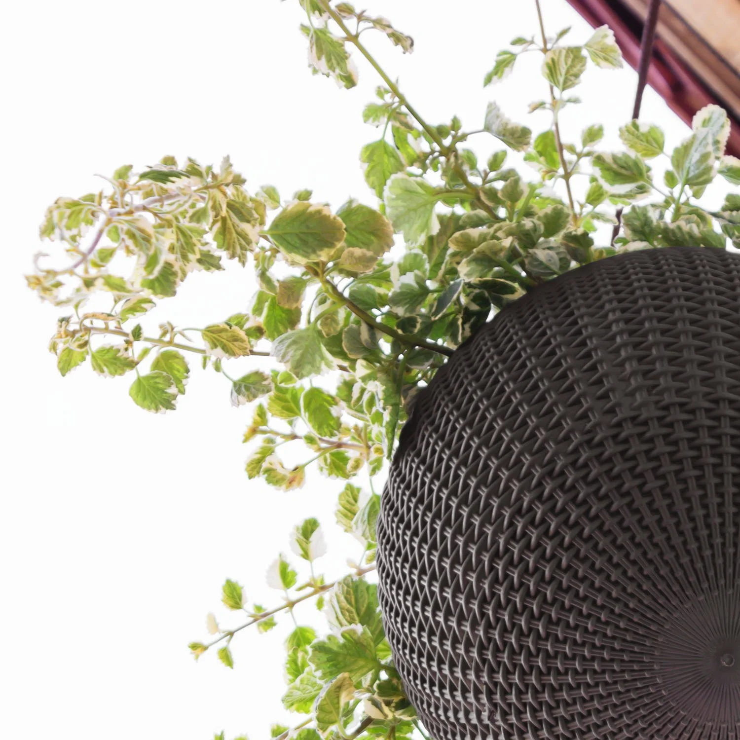 Подвесной вазон Keter Hanging Sphere Дизайн под ротанг Пластик Антрацит, фото №5 Подвесной вазон Keter Hanging Sphere Дизайн под ротанг Пластик Антрацит, фото №5