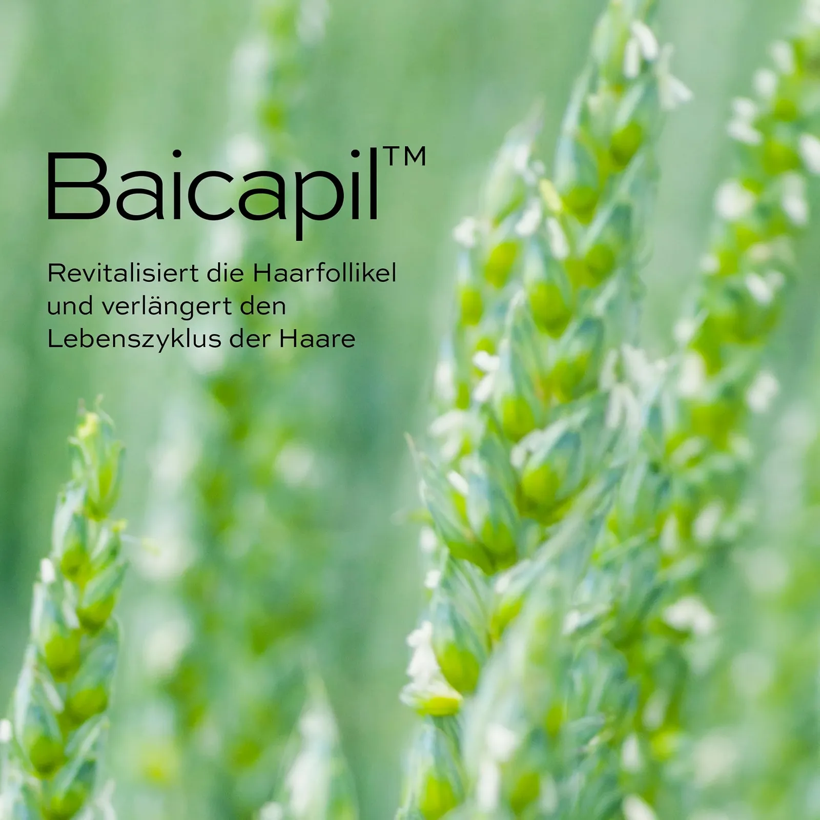 Сироватка John Frieda PROfiller+ для росту волосся при спадковому випадінні волосся 50 мл, фото №7 Сироватка John Frieda PROfiller+ для росту волосся при спадковому випадінні волосся 50 мл, фото №7